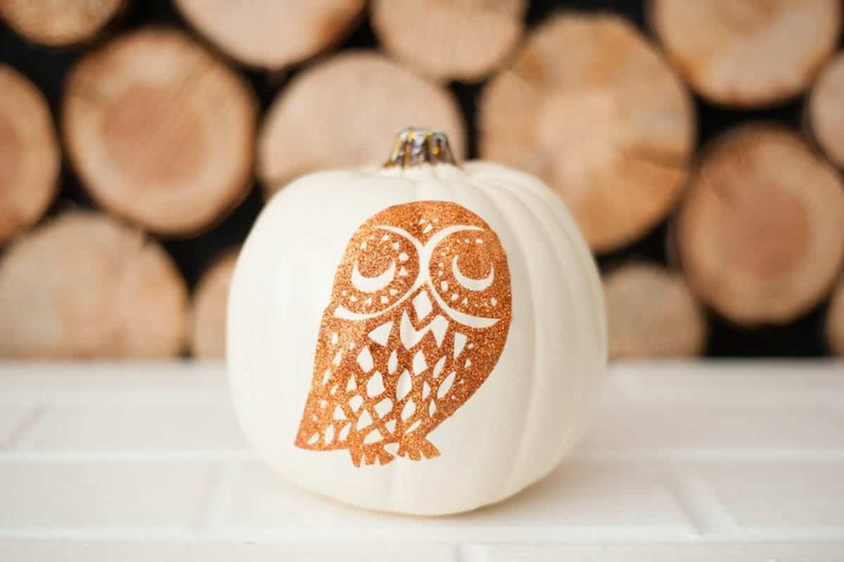 Glitter owl on a white pumpkin