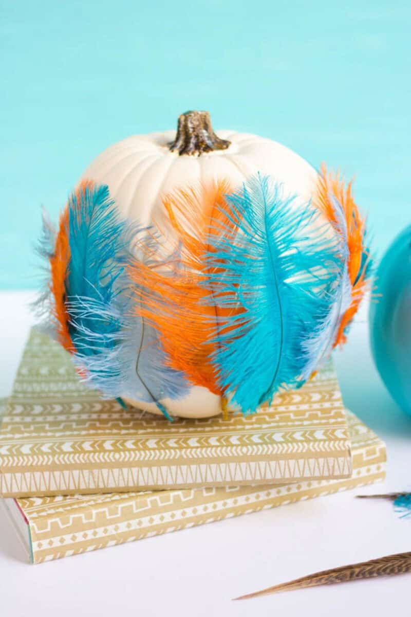 White pumpkin decorate with ostrich feathers