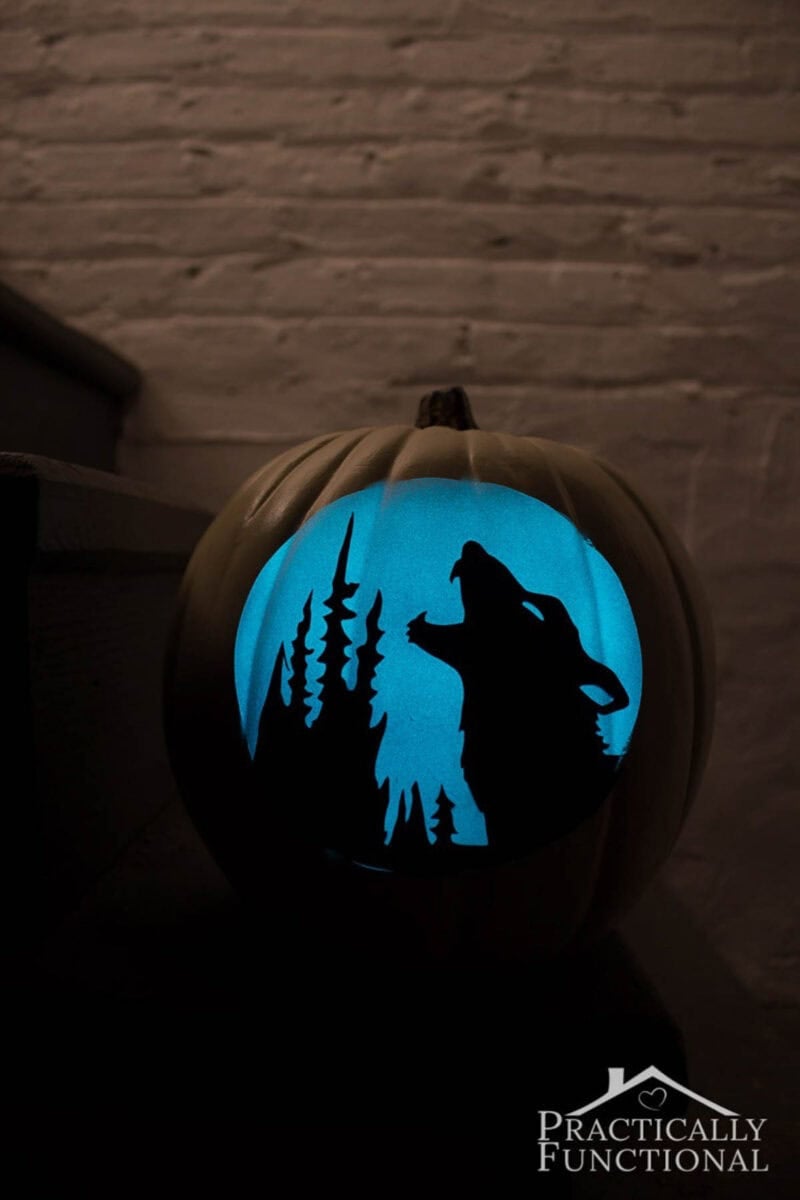 No carve pumpkin with wolf howling at the wolf graphic glowing in the dark
