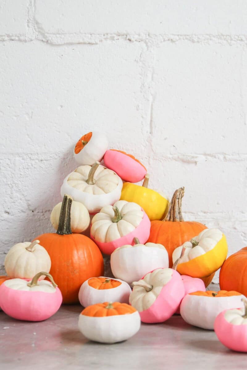 mini pumpkins painted pink and yellow