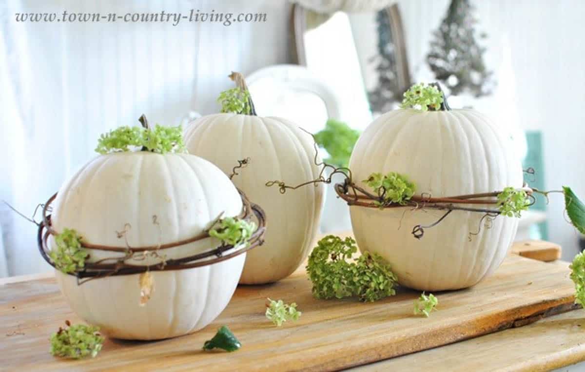 Grapvine wreath and hydrangeas used to decorate white pumpkins