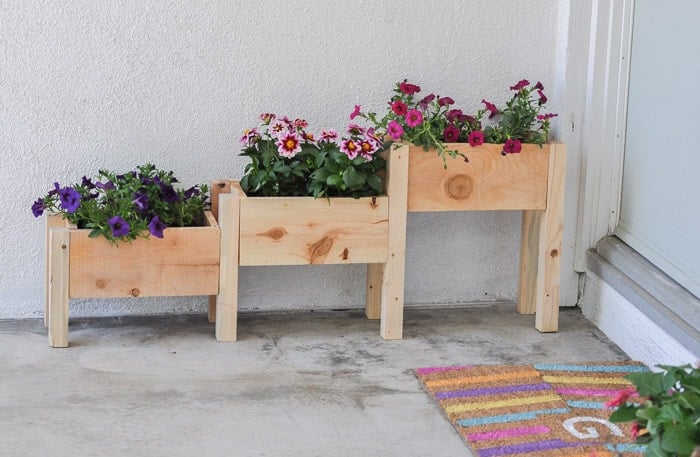 View of the $10 Tiered planter filled with flowers!