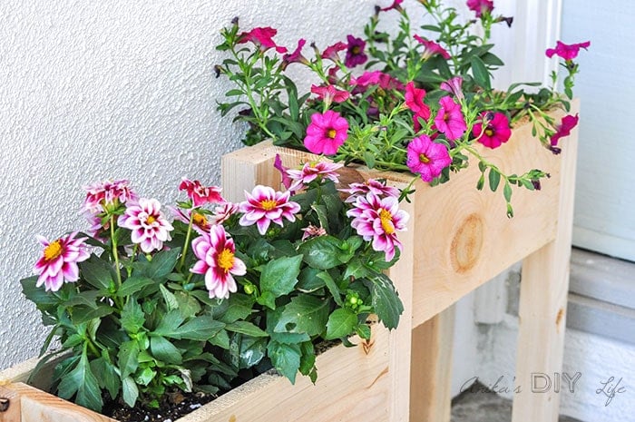 Close up of DIY tiered planter filled with pink flowers