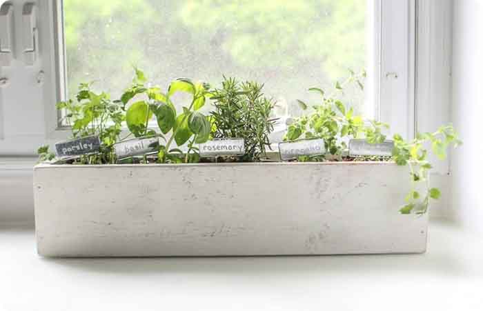 Find lots of inspiration to build a DIY planter here