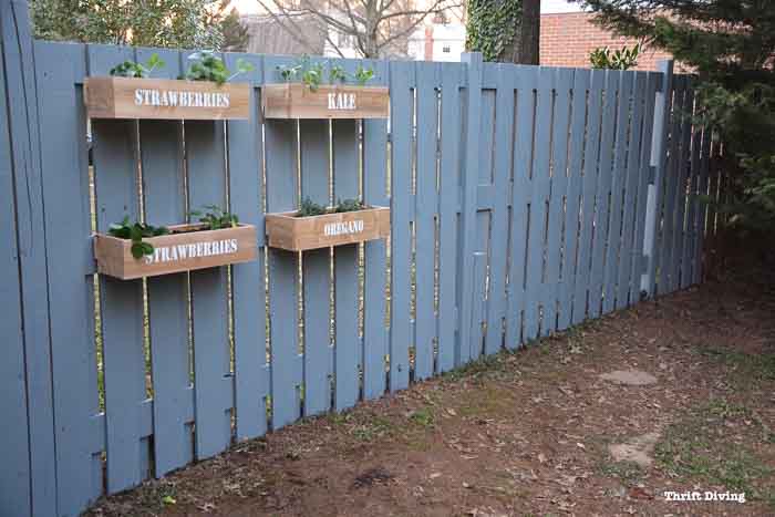DIY hanging planter boxes on the fence