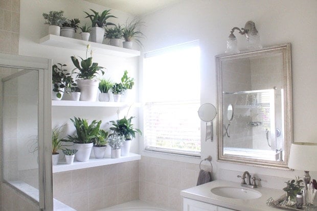 Ikea shelves turned into a plant wall