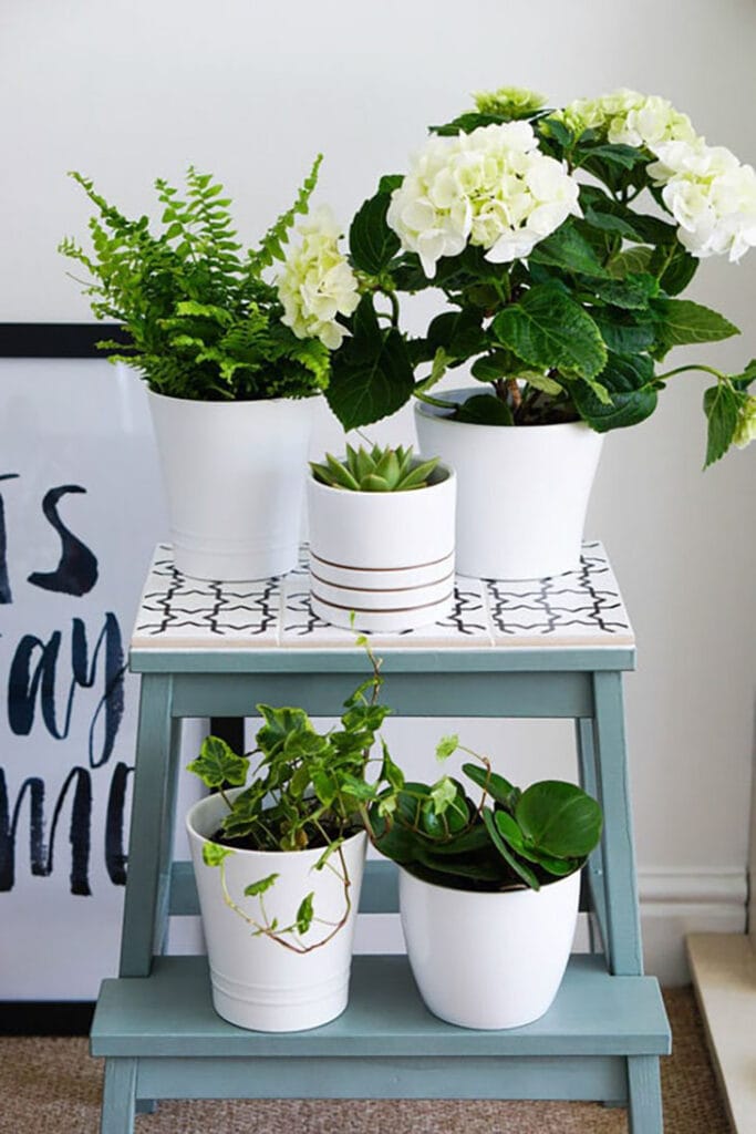 Ikea Bekvam stool hack for plant stand