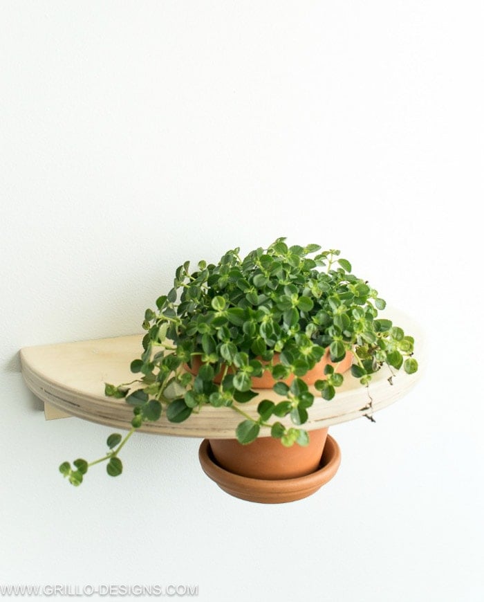 Ikea Frosta stool hack turned into a wall planter