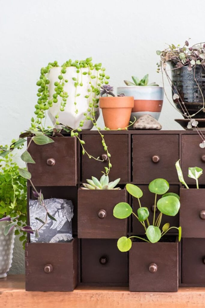 Ikea Moppe painted brown and used for plants