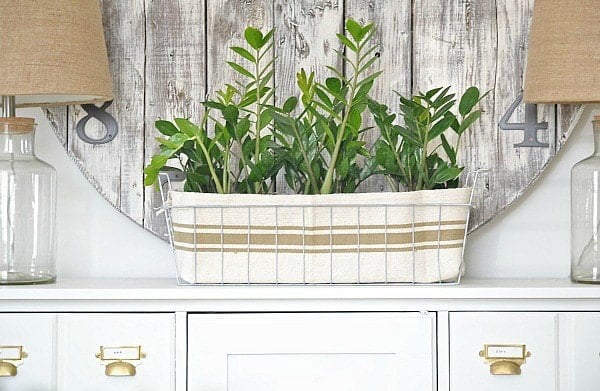 Planter using an Ikea rug