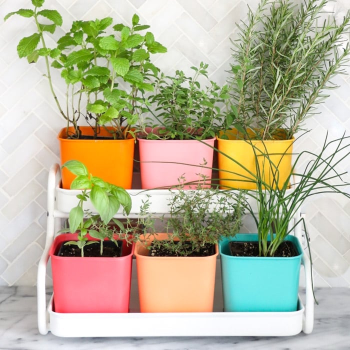 Colorful planters using Ikea pots