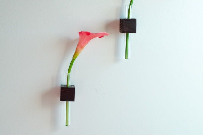 DIY test tube vases mounted on scrap wood blocks on wall