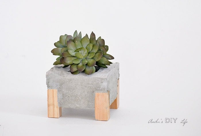 DIY concrete planter with wood legs on white background with succulent
