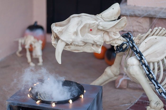 Front porch Halloween decoration ideas using sabre tooth cat