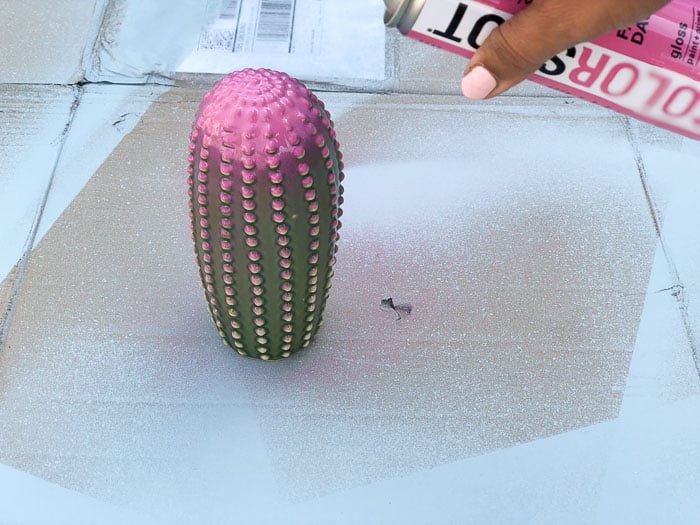 Adding ombre effect using spray paint on cactus