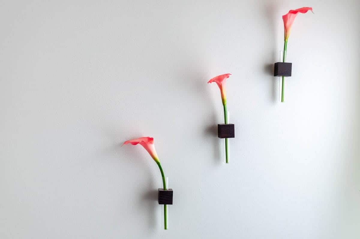 wall bud vases on the wall with single flowers
