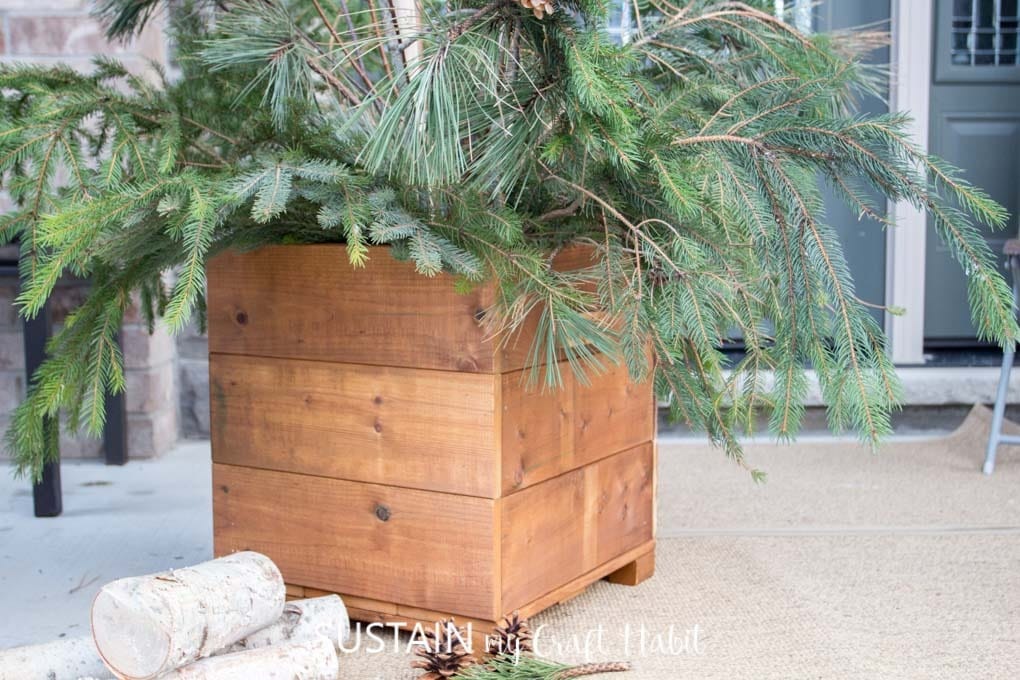 wood planter box with evergreen limbs