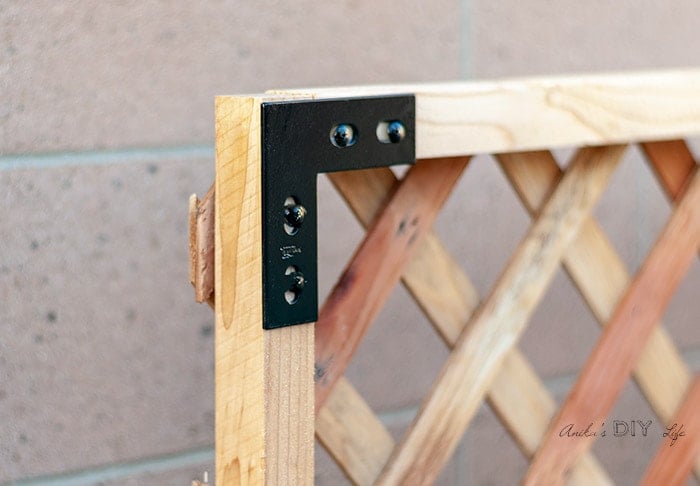 close up of top of lattice support
