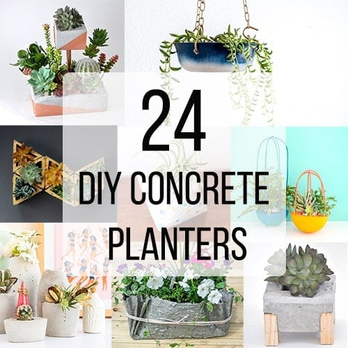 Collage of DIY concrete planters with text overlay