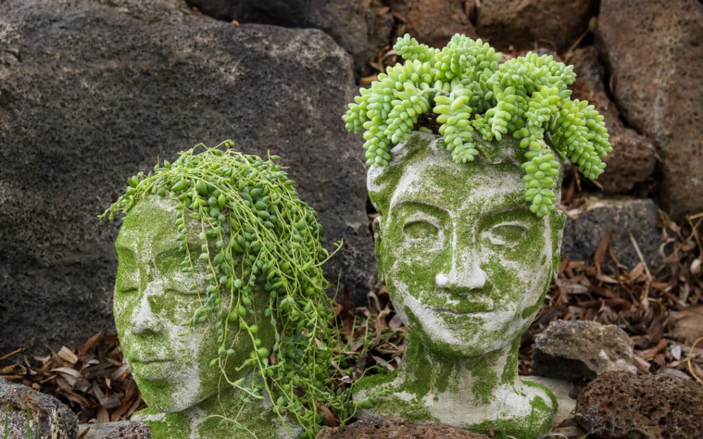 Concrete planters shaped like a man and woman head