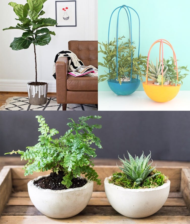 Collage of three round concrete planters