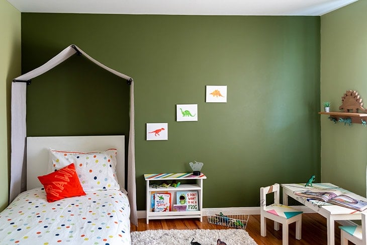 Full dinosaur themed room with tent canopy and other decor