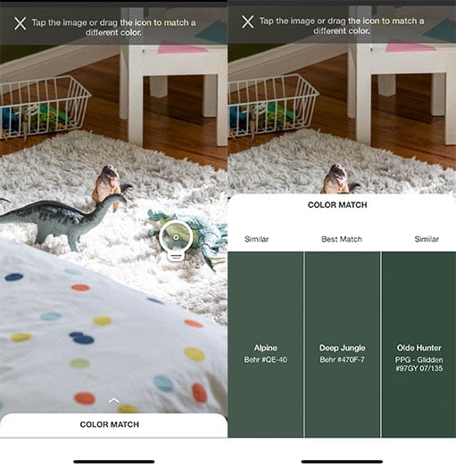 collage of projectcolorapp to find colors with dinosaurs