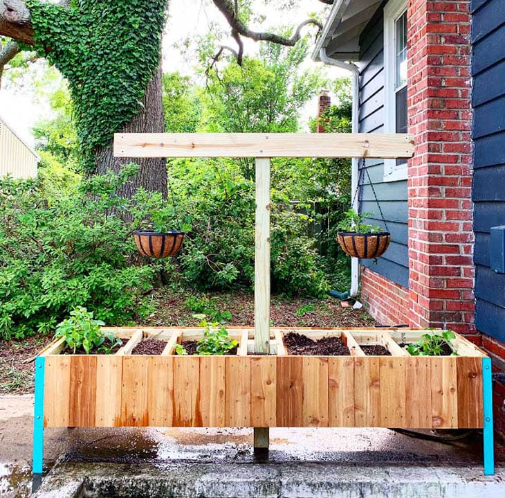 raised garden with plant hanger