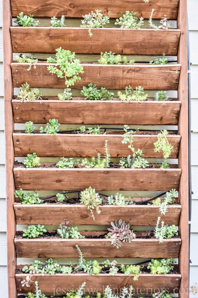 Vertical wood garden for small spaces