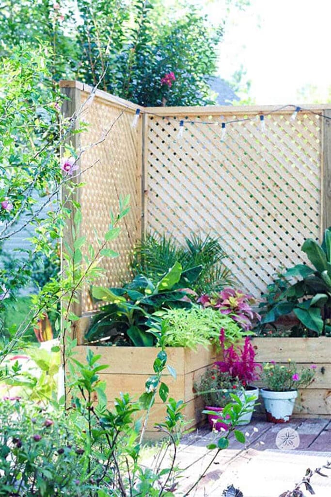 raised garden with lattice privacy screen