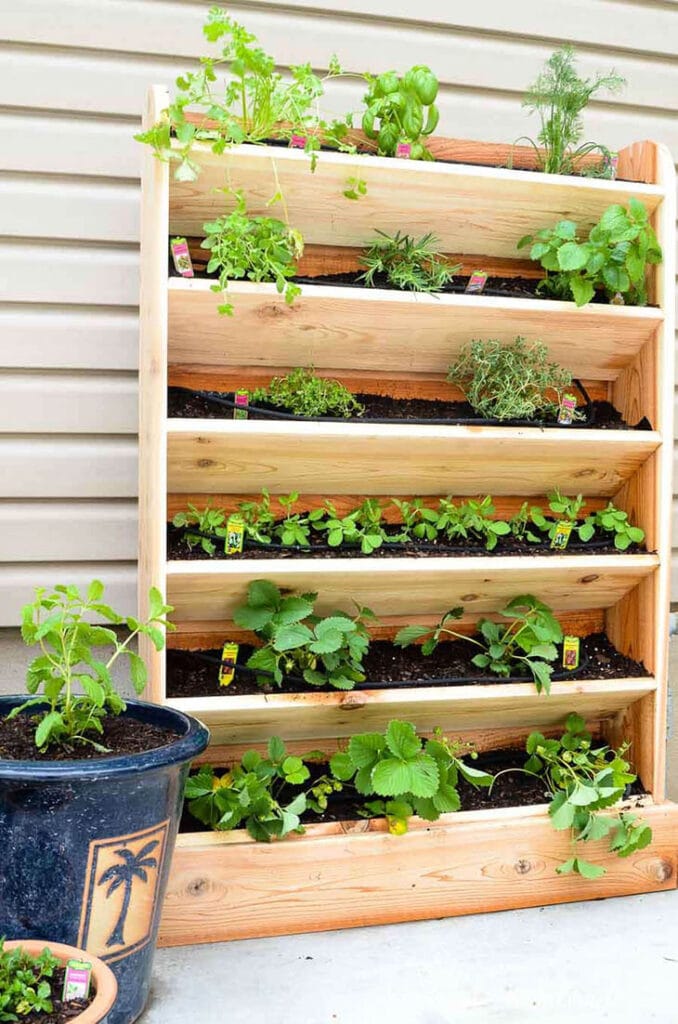 six shelf vertical garden made from wood