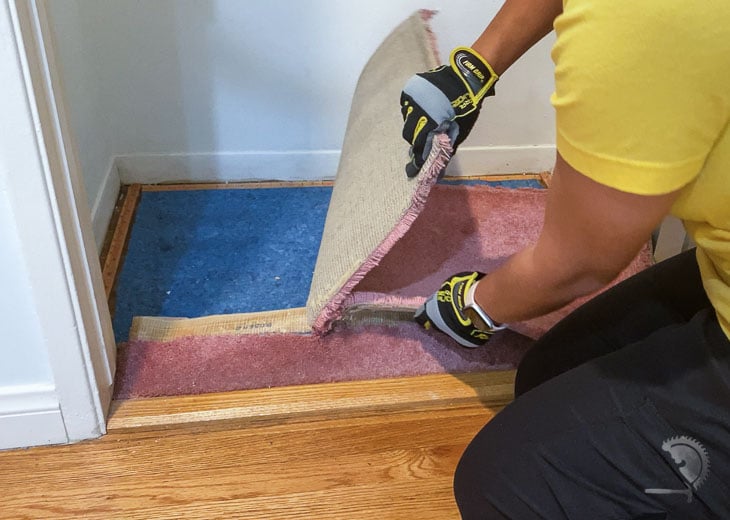 Woman removing old pink carpet