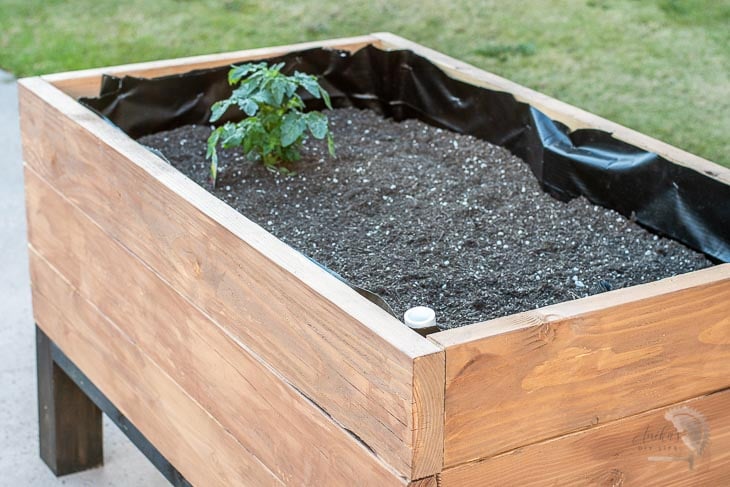 Close up of the self watering raised garden bed