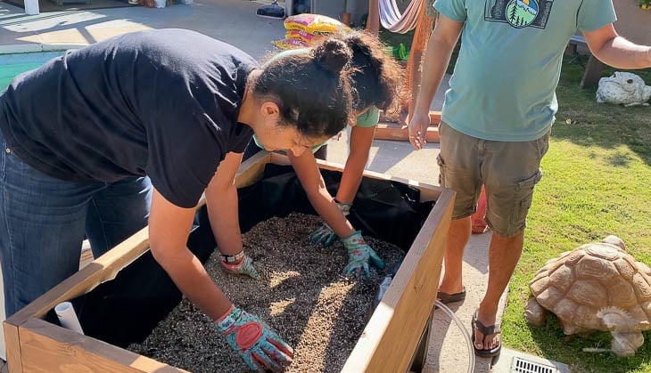 Adding vermiculite and peat moss to the planter
