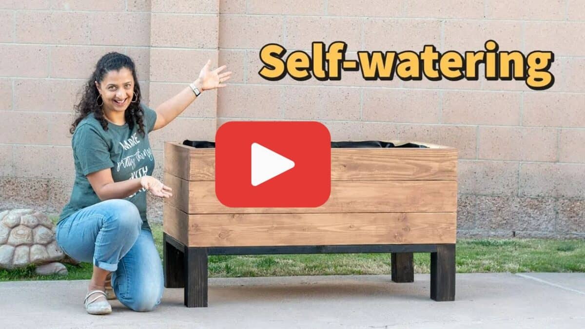 Anika with self-watering planter with text overlay and Youtube play button