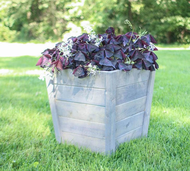 DIY wood planter box with plants
