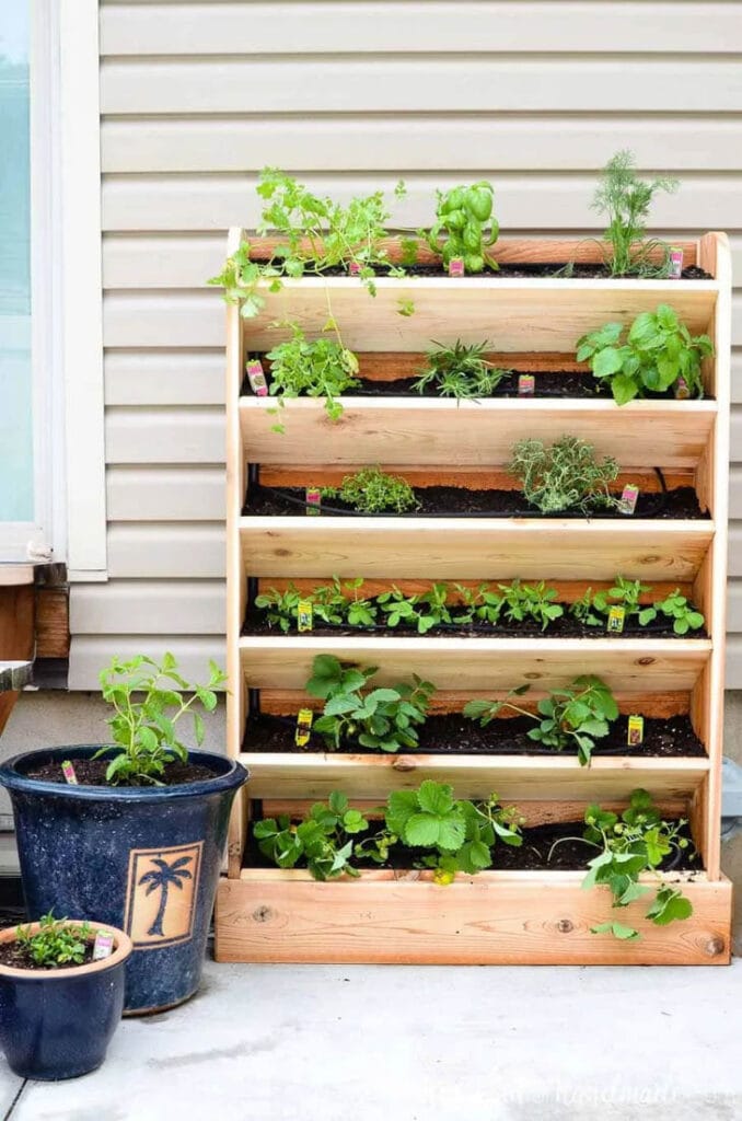vertical six row planter with herbs planted in it