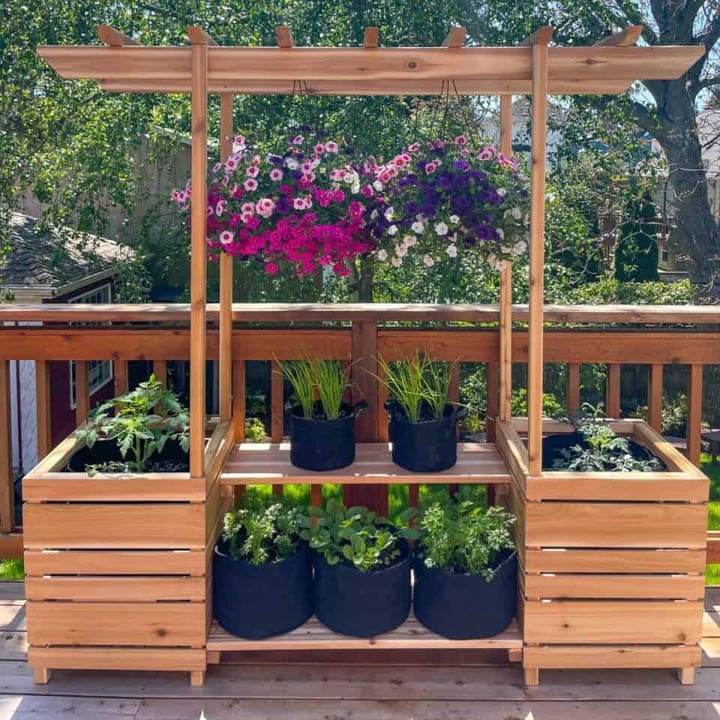 DIY plant stand with arbor with hanging plants