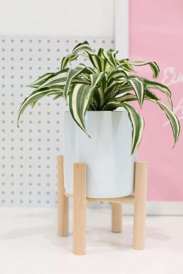 tabletop DIY plant stand with plant sitting on a desk