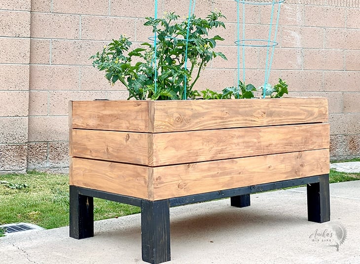 DIY self-watering planter in backyard with bid tomato plant full of tomatoes and a few other planter.