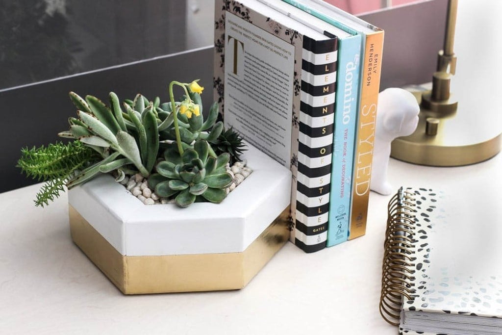 white and gold hexagon planter with succulents sitting on a desk