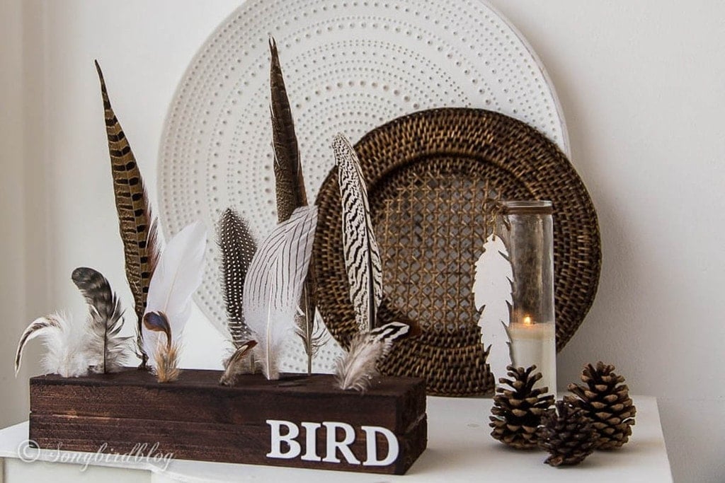 decor display of feathers using 2x4 scrap wood
