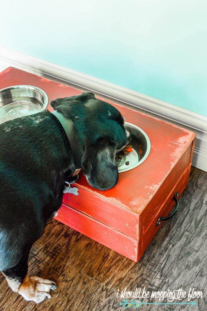 red painted crate as a dog bowl stand