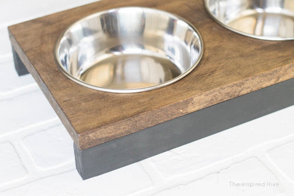 short dog bowl stand