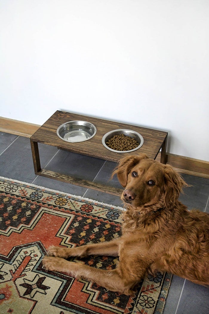 raised dog bowl stand with irish setter