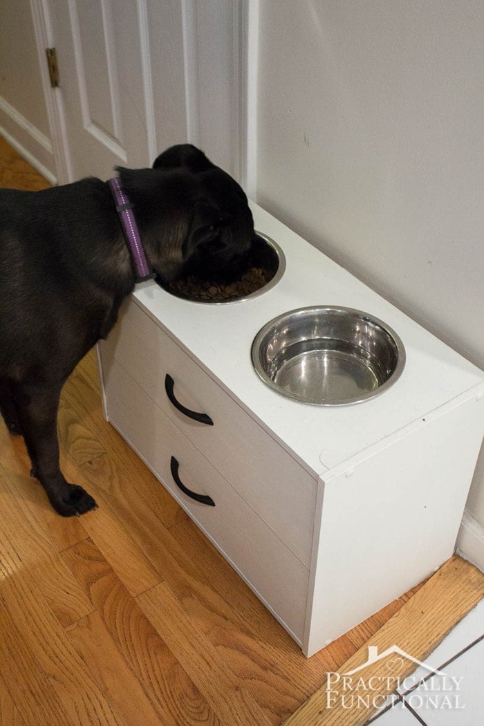 White raised dog bowl stand with drawers