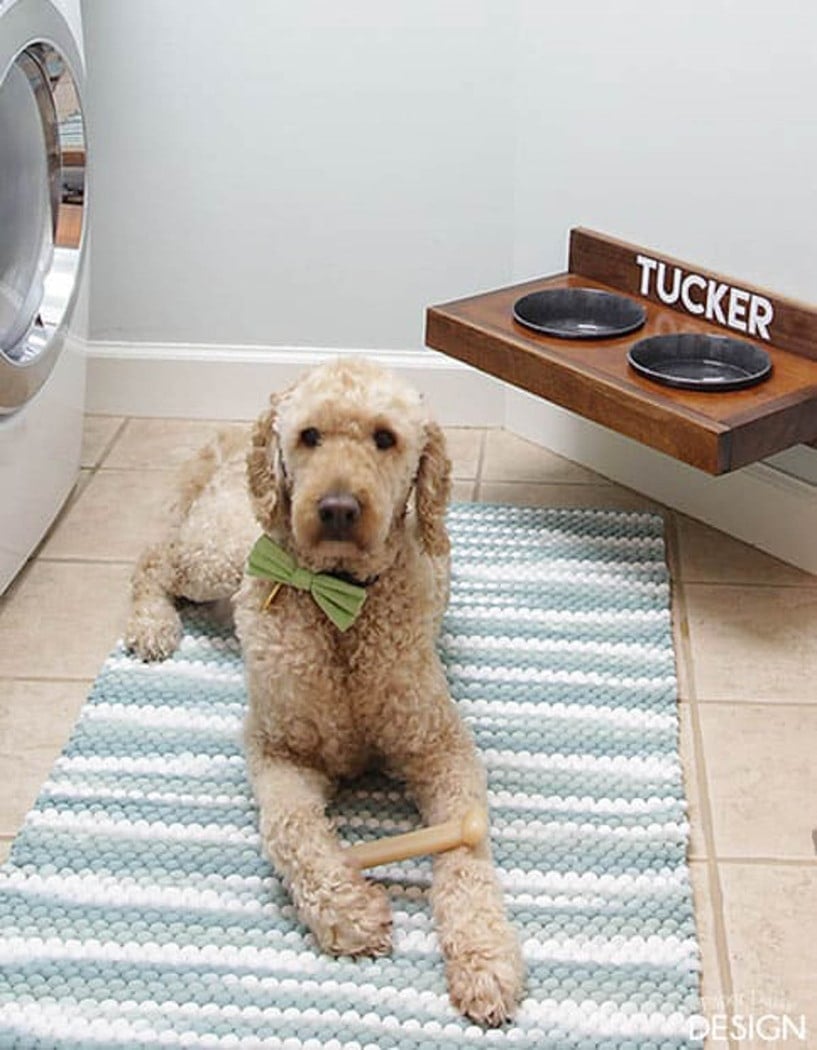 pet feeder attached to the wall with dog laying on a rug