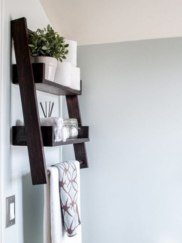 Floating ladder shelf DIY home project idea for the bathroom