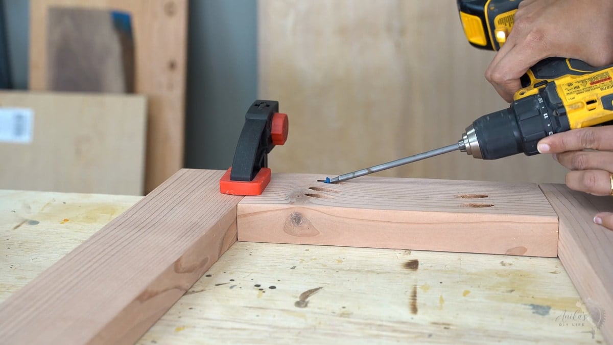 building the front and back legs
