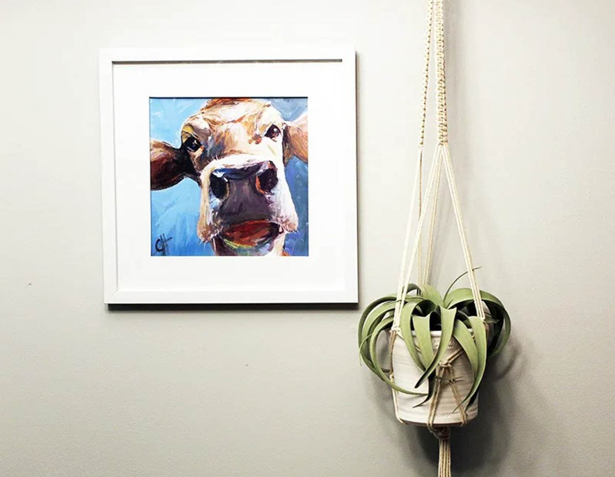 Macrame plant hanger as a DIY gift for plant lovers